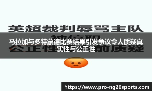 ng南宫体育