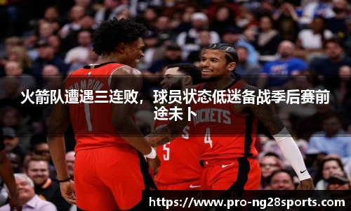 ng体育官网