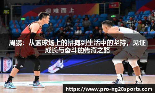 ng体育官网