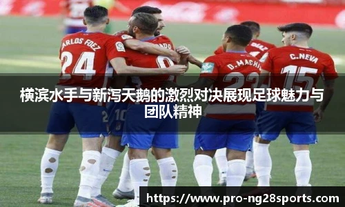 ng体育官方网站
