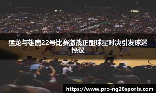 ng南宫体育